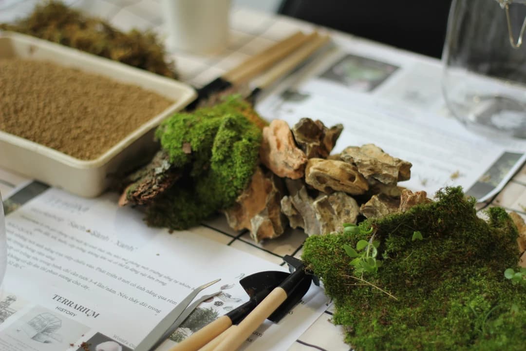 How to Make a Terrarium