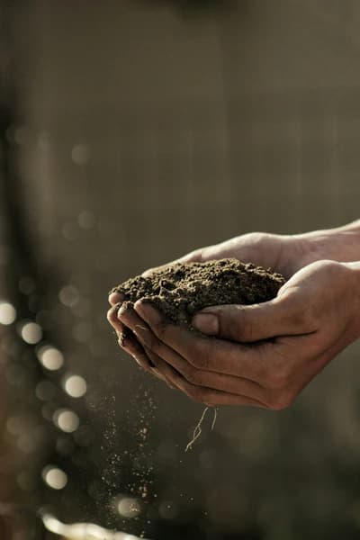 Step 4: Add Potting Soil