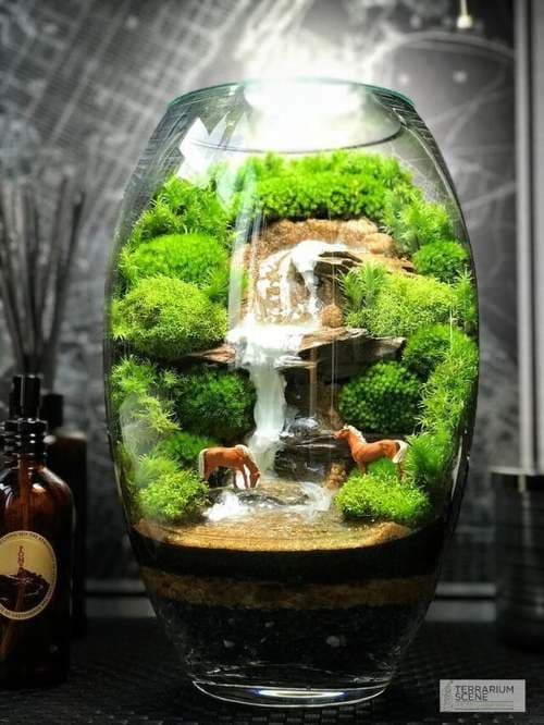 Creating terrarium terrain