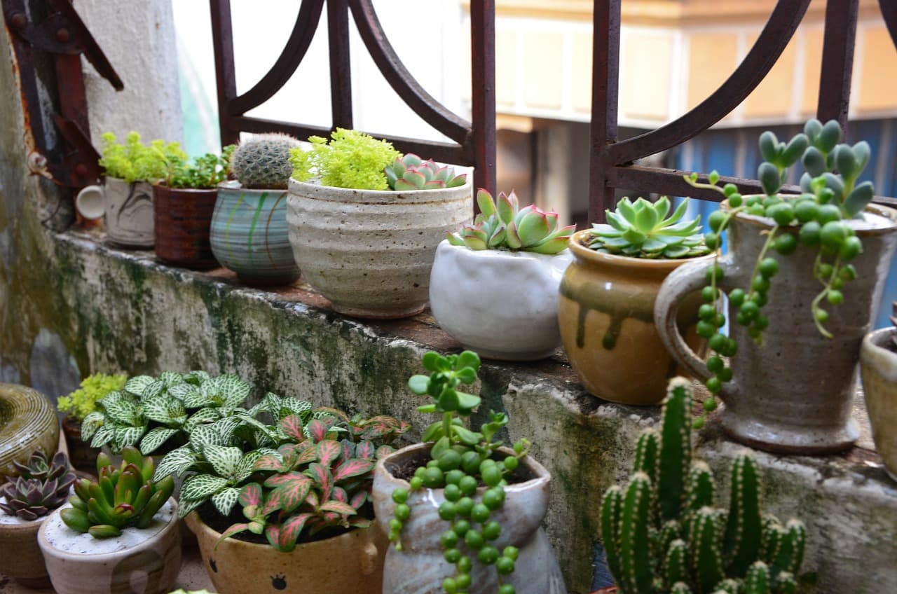 My terrarium workspace